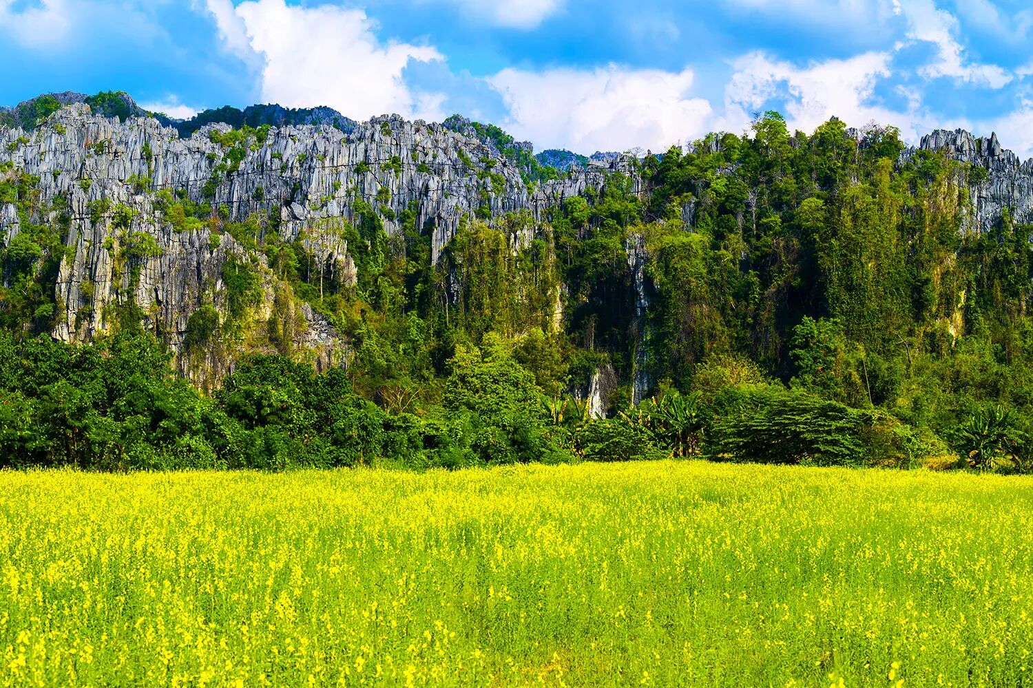 Phitsanulok Rocks and Trees, Thailand